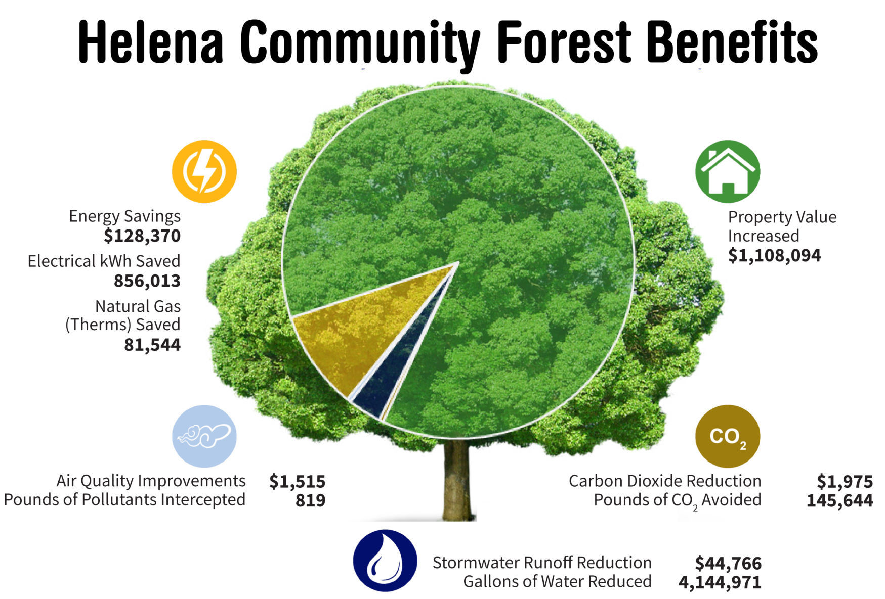 Helena forest benefits